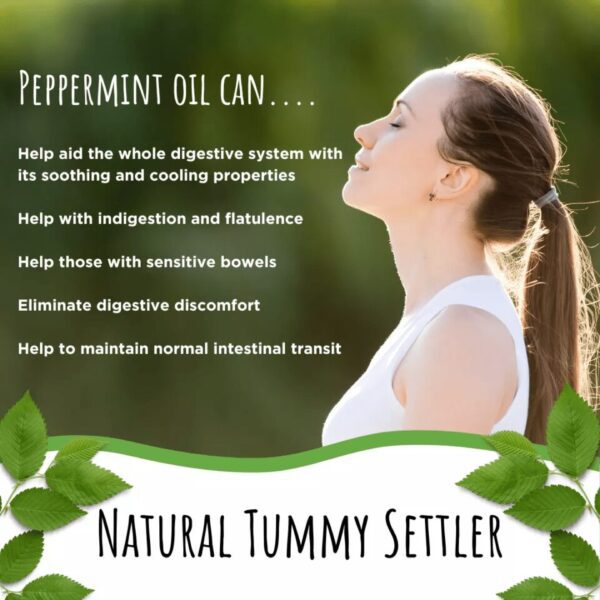 Peppermint Oil 0.2ml Enteric Coated 84 Capsules