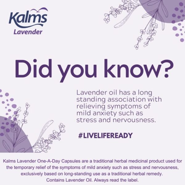 Kalms Lavender Oil 80mg One A Day 14 Capsules
