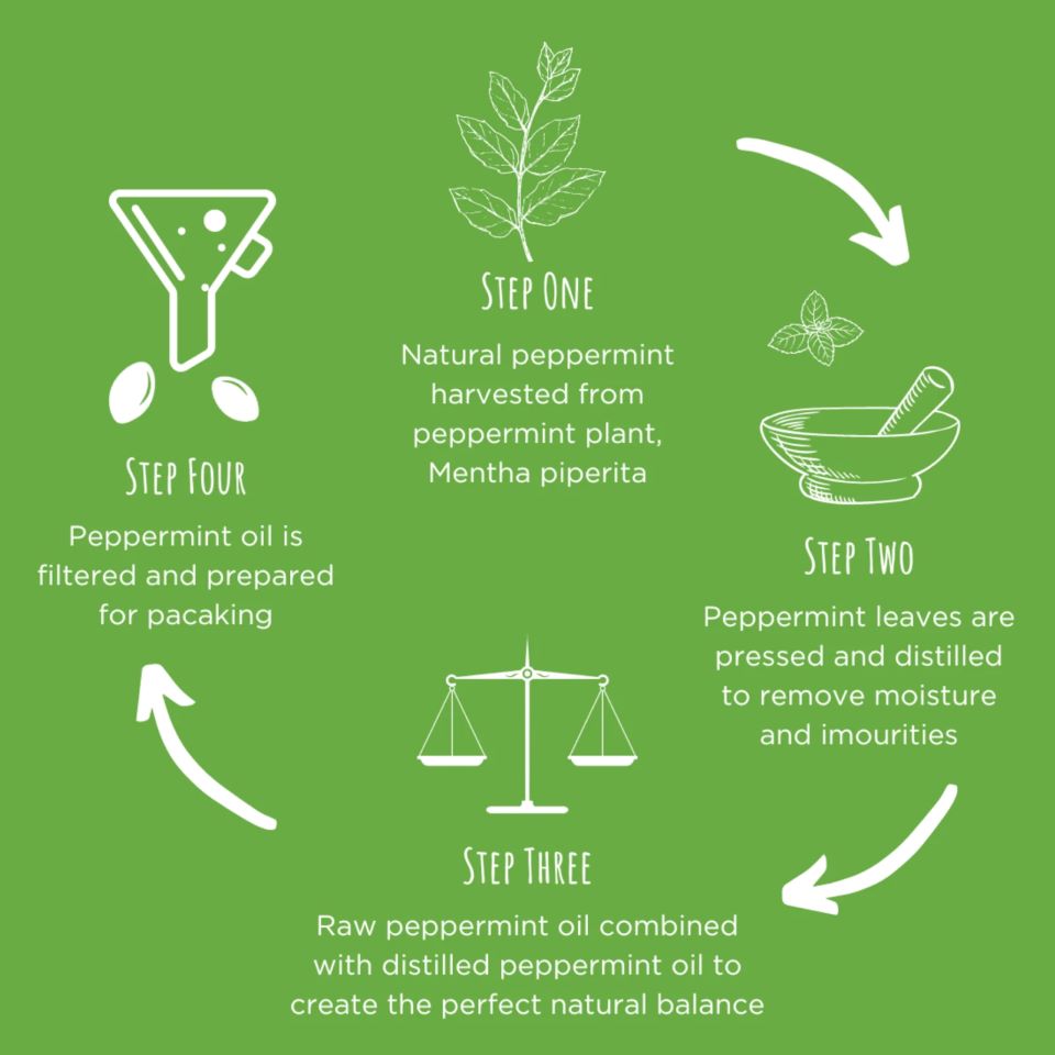 Peppermint Oil 0.2ml Enteric Coated 84 Capsules